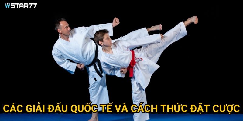 Karate đấu võ Wstar77 thu hút người chơi như thế nào? 3 Các giải đấu quốc tế và cách thức đặt cược?