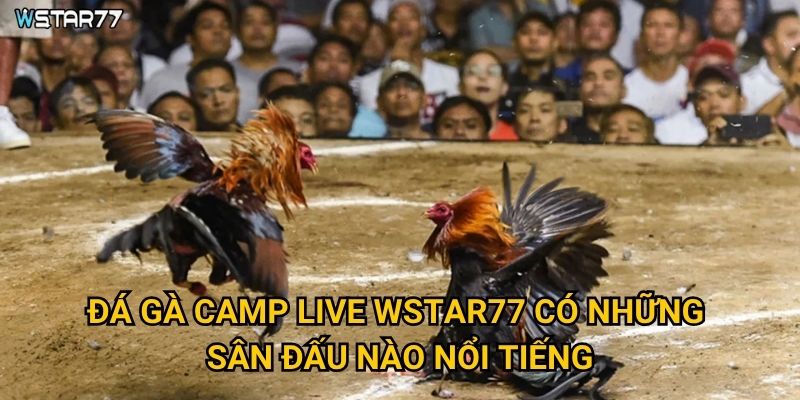 Đá Gà Camp Live Wstar77 có những sân đấu nào nổi tiếng?