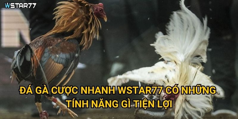 Đá Gà Cược Nhanh tại Wstar77 giúp người chơi tiết kiệm thời gian như thế nào? 2 Đá Gà Cược Nhanh Wstar77 có những tính năng gì tiện lợi?