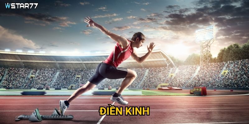 Điền kinh tại Wstar77 có những hình thức cá cược nào hấp dẫn?