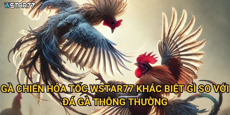 Gà Chiến Hỏa Tốc Wstar77 khác biệt gì so với đá gà thông thường?