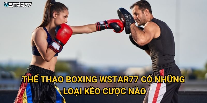 Thể thao Boxing Wstar77 mang đến trải nghiệm cá cược ra sao? 2 Thể thao Boxing Wstar77 có những loại kèo cược nào?
