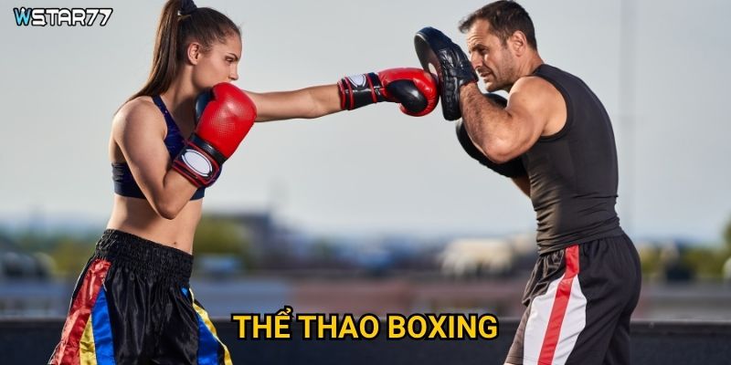 Thể thao Boxing Wstar77 mang đến trải nghiệm cá cược ra sao?