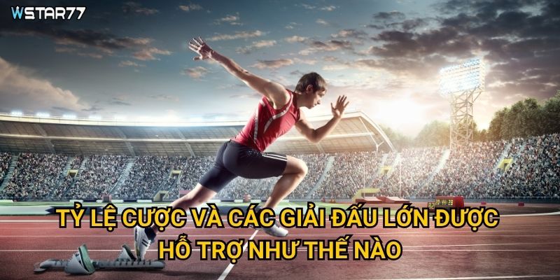 Tỷ lệ cược và các giải đấu lớn được hỗ trợ như thế nào?